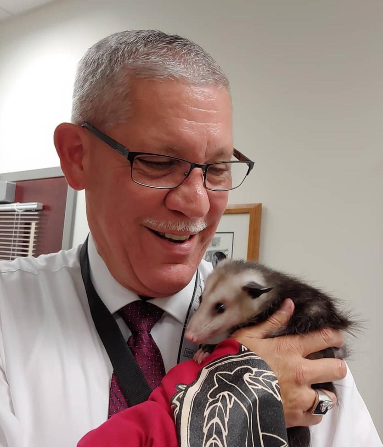 Podrick the Possum, local Instagram star